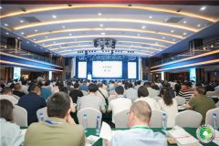 中国棉纺织大会破局2025新疆机缘沉塑新质出产力